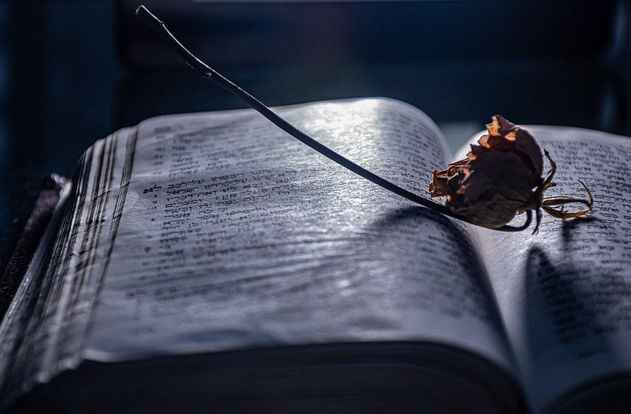 Light in the Darkness: Biblical Encouragement for Uncertain Times